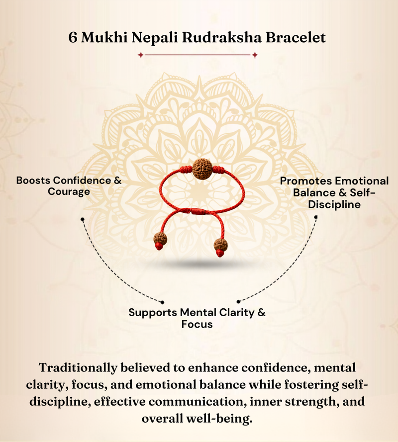 6 Mukhi Nepali Rudraksha Bracelet for Focus & Willpower