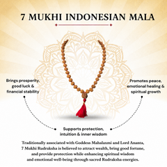 7 Mukhi Indonesian Rudraksha Mala for Prosperity & Success