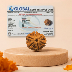 6 Mukhi Nepali Rudraksha Bead for Confidence & Willpower