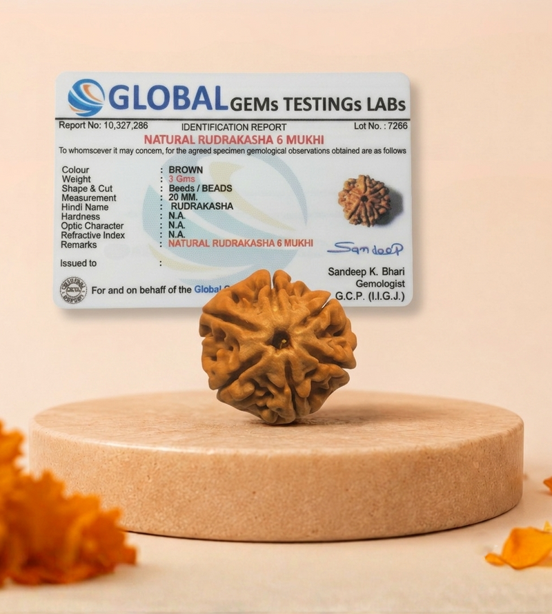 6 Mukhi Nepali Rudraksha Bead for Confidence & Willpower