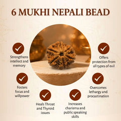 6 Mukhi Nepali Rudraksha Bead for Confidence & Willpower