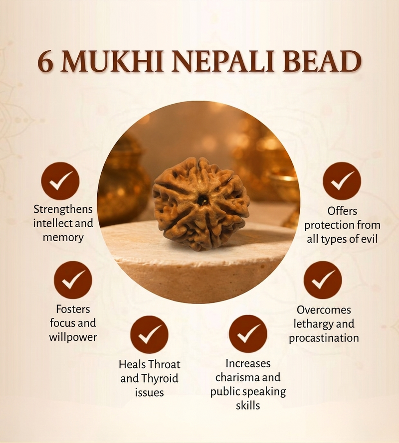 6 Mukhi Nepali Rudraksha Bead for Confidence & Willpower