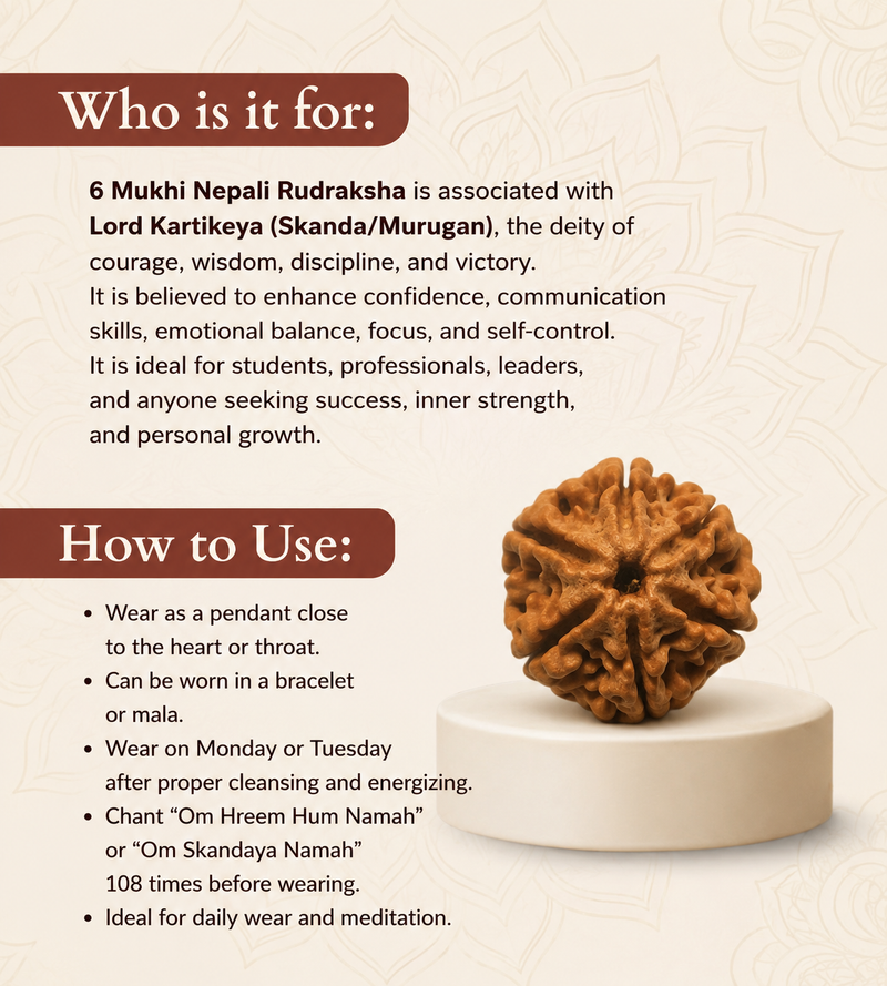 6 Mukhi Nepali Rudraksha Bead for Confidence & Willpower