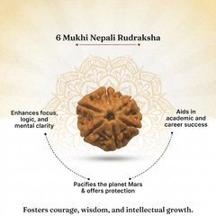 6 Mukhi Nepali Rudraksha Bead for Confidence & Willpower
