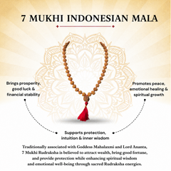 7 Mukhi Indonesian Rudraksha Mala for Prosperity & Success