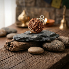 7 Mukhi Nepali Rudraksha with German Silver Cap for Wealth