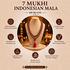 7 Mukhi Indonesian Rudraksha Mala for Prosperity & Success