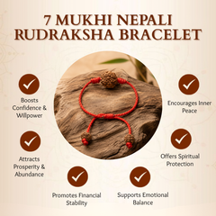 7 Mukhi Nepali Rudraksha Bracelet for Wealth & Prosperity