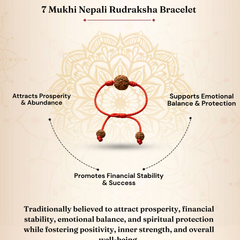 7 Mukhi Nepali Rudraksha Bracelet for Wealth & Prosperity