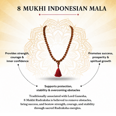 8 Mukhi Indonesian Rudraksha Bead Mala