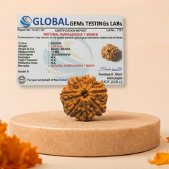 7 Mukhi Nepali Rudraksha Bead for Wealth & Prosperity