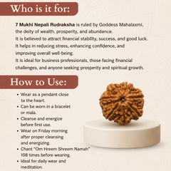 7 Mukhi Nepali Rudraksha Bead for Wealth & Prosperity