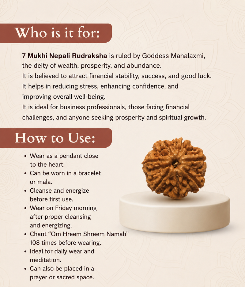 7 Mukhi Nepali Rudraksha Bead for Wealth & Prosperity