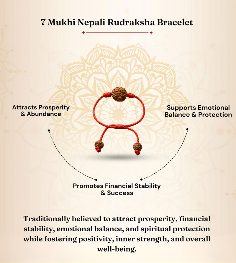 7 Mukhi Nepali Rudraksha Bracelet for Wealth & Prosperity