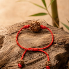 7 Mukhi Nepali Rudraksha Bracelet for Wealth & Prosperity