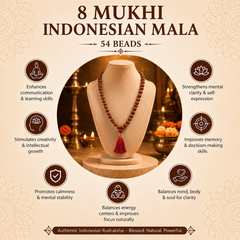8 Mukhi Indonesian Rudraksha Bead Mala