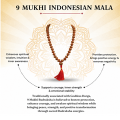9 Mukhi Indonesian Rudraksha 54 Bead Mala