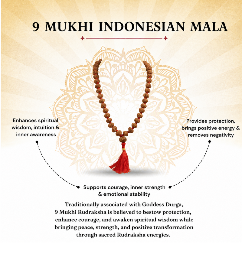 9 Mukhi Indonesian Rudraksha 54 Bead Mala