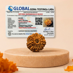 8 Mukhi Nepali Rudraksha Bead for Success & Protection