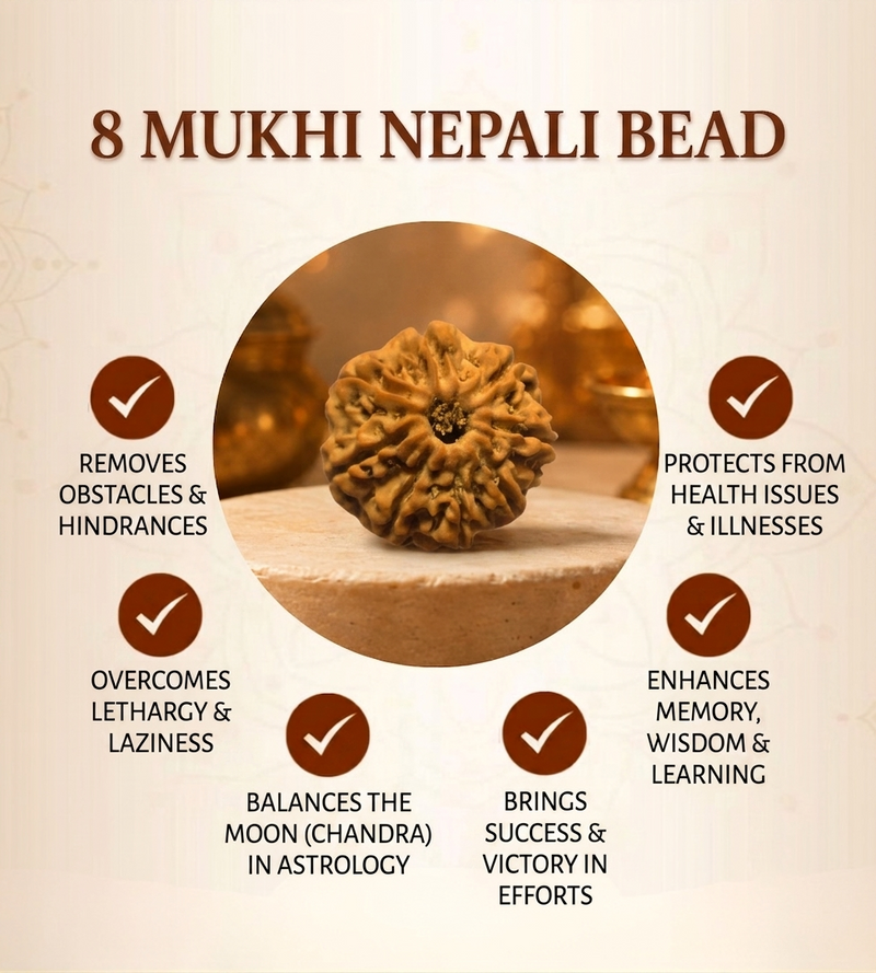 8 Mukhi Nepali Rudraksha Bead for Success & Protection