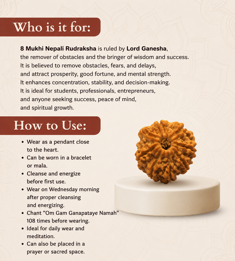 8 Mukhi Nepali Rudraksha Bead for Success & Protection