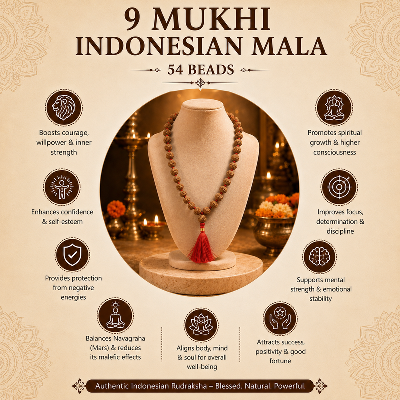 9 Mukhi Indonesian Rudraksha 54 Bead Mala