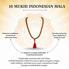10 Mukhi Indonesian Rudraksha 108 Bead Mala