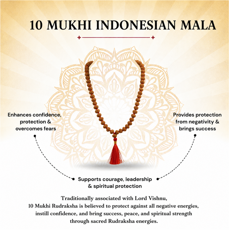 10 Mukhi Indonesian Rudraksha 108 Bead Mala