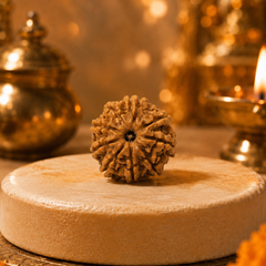 9 Mukhi Nepali Rudraksha Bead for Courage & Protection