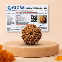 9 Mukhi Nepali Rudraksha Bead for Courage & Protection