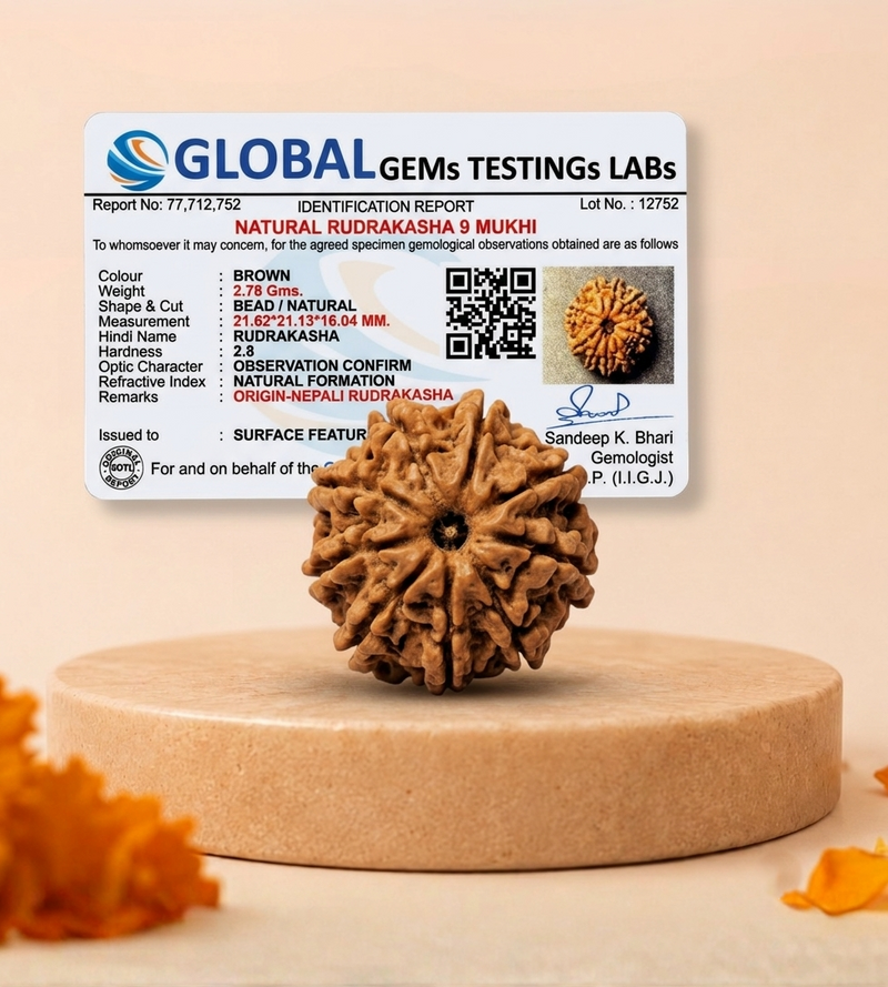 9 Mukhi Nepali Rudraksha Bead for Courage & Protection