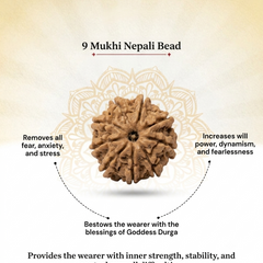 9 Mukhi Nepali Rudraksha Bead for Courage & Protection