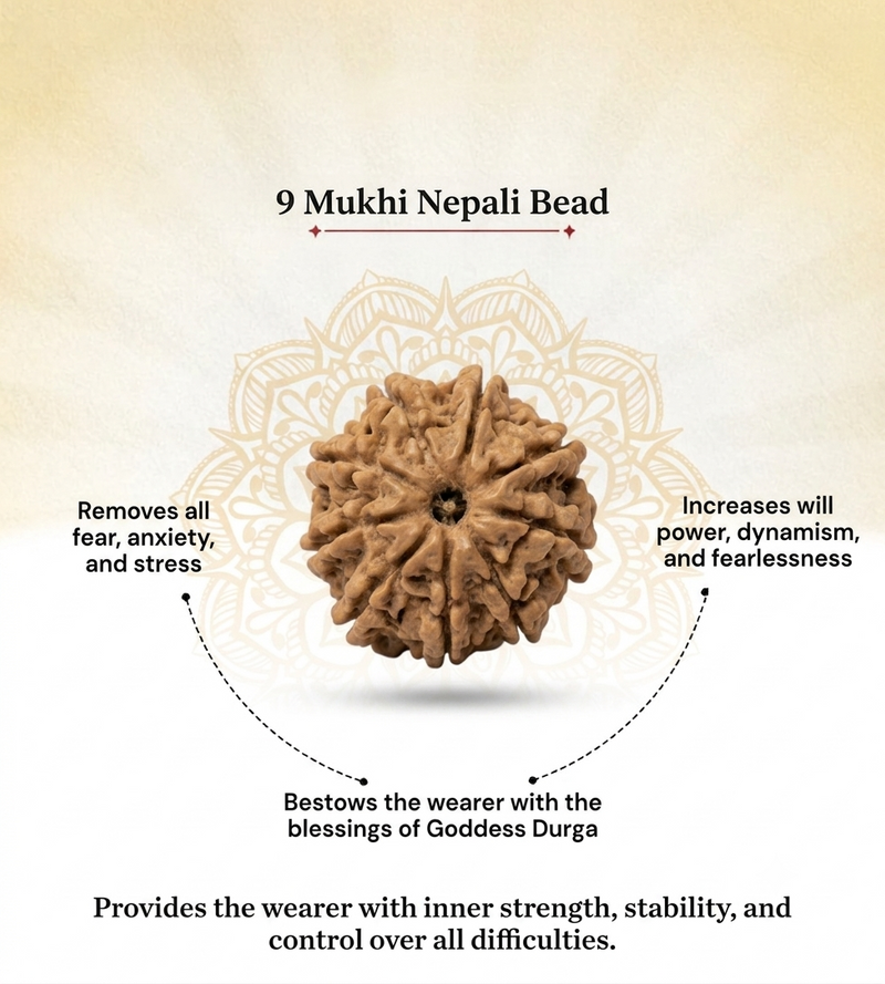 9 Mukhi Nepali Rudraksha Bead for Courage & Protection