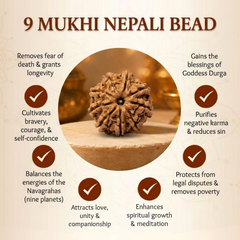9 Mukhi Nepali Rudraksha Bead for Courage & Protection