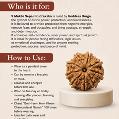 9 Mukhi Nepali Rudraksha Bead for Courage & Protection