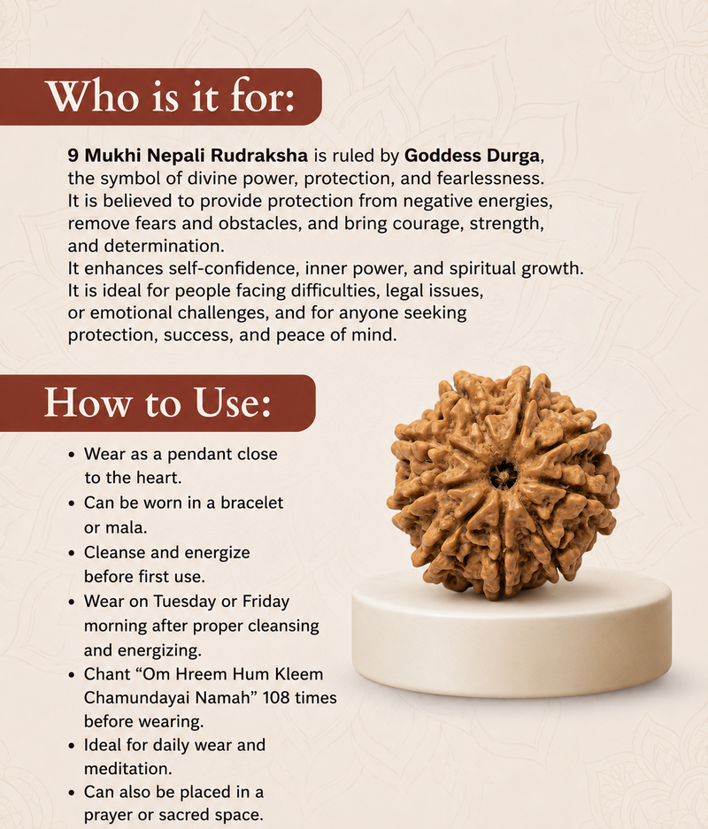 9 Mukhi Nepali Rudraksha Bead for Courage & Protection