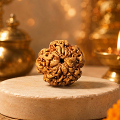 1 Mukhi Nepali Rudraksha Bead for Protection & Inner Peace