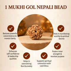 1 Mukhi Nepali Rudraksha Bead for Protection & Inner Peace