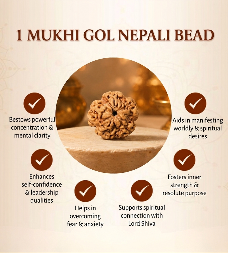 1 Mukhi Nepali Rudraksha Bead for Protection & Inner Peace