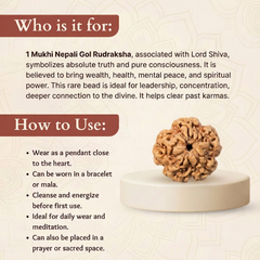 1 Mukhi Nepali Rudraksha Bead for Protection & Inner Peace