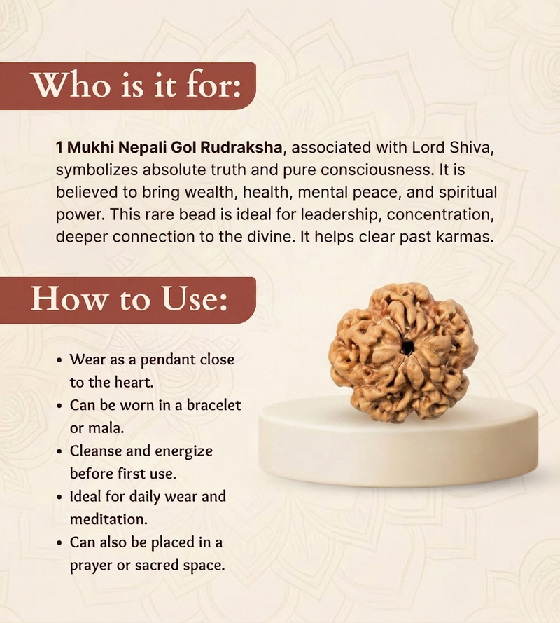 1 Mukhi Nepali Rudraksha Bead for Protection & Inner Peace