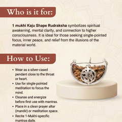 1 Mukhi South Indian Rudraksha for Focus & Spiritual Growth