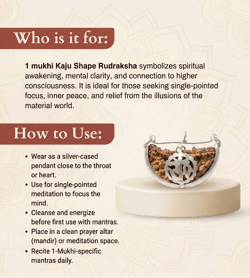 1 Mukhi South Indian Rudraksha for Focus & Spiritual Growth