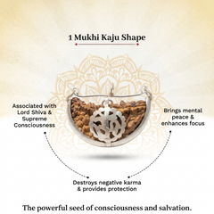 1 Mukhi South Indian Rudraksha for Focus & Spiritual Growth