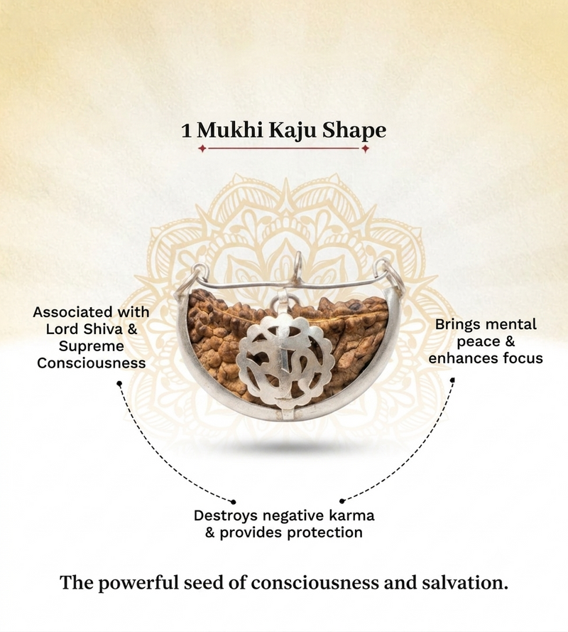 1 Mukhi South Indian Rudraksha for Focus & Spiritual Growth
