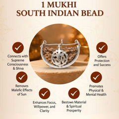 1 Mukhi South Indian Rudraksha for Focus & Spiritual Growth