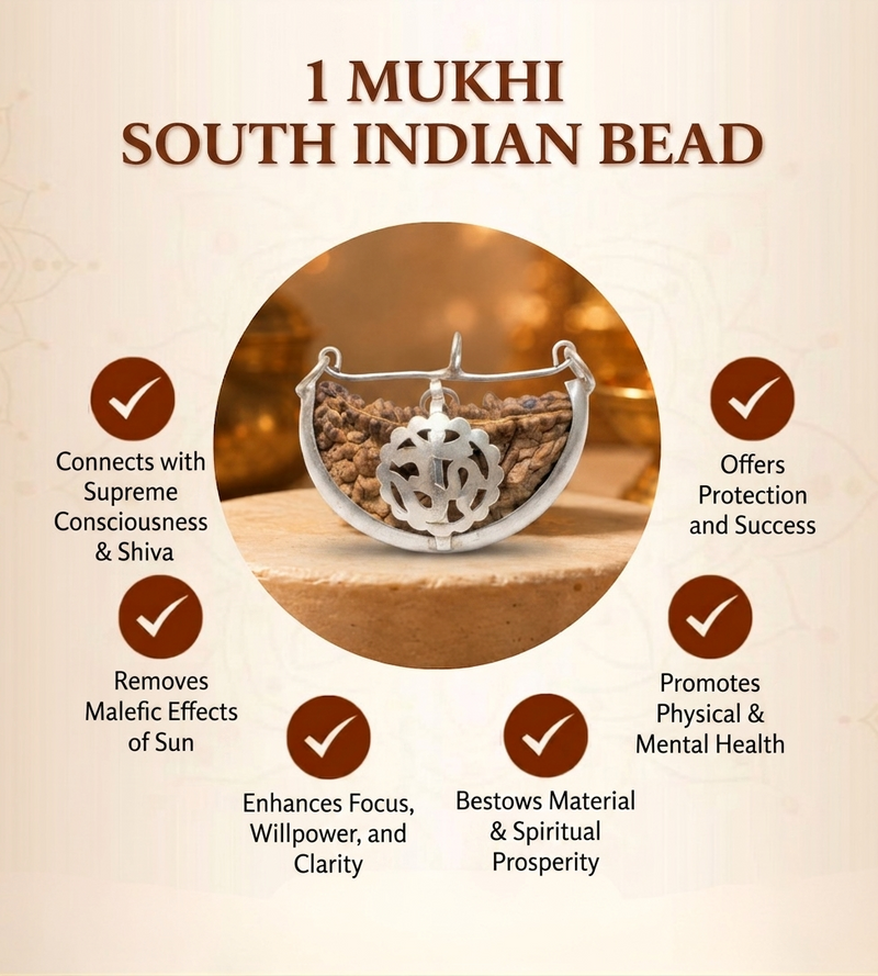 1 Mukhi South Indian Rudraksha for Focus & Spiritual Growth