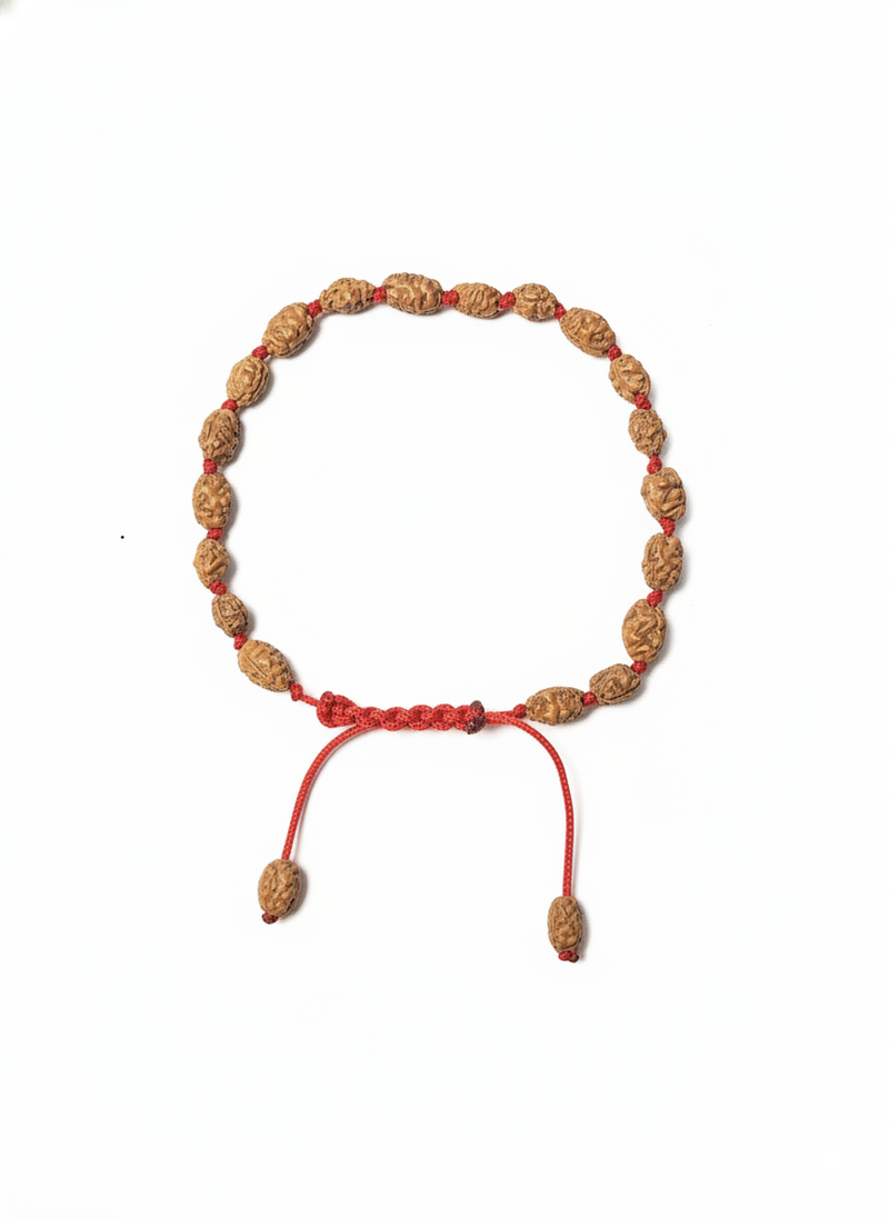 2 Mukhi Indonesian Rudraksha Bracelet for Harmony & Unity
