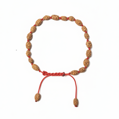 2 Mukhi Indonesian Rudraksha Bracelet for Harmony & Unity