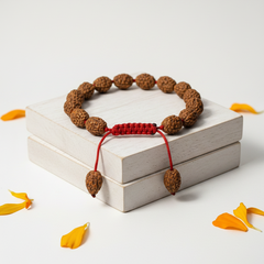 3 Mukhi Indonesian Rudraksha Bracelet for Confidence & Growth